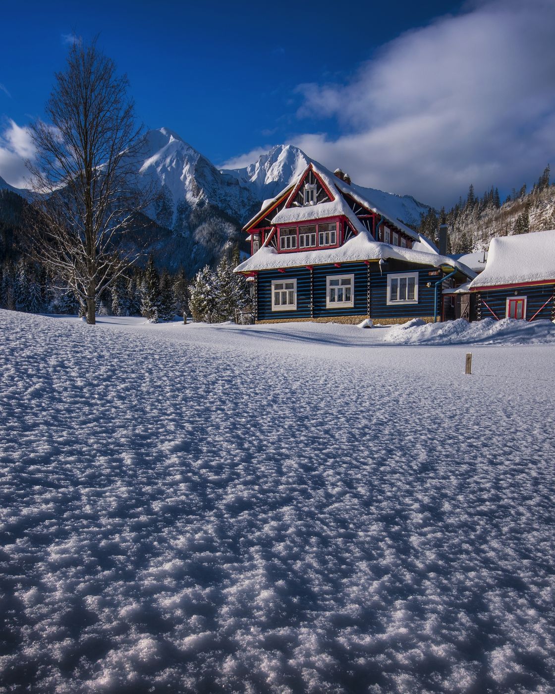 Tatras mountains with traditional wooden house, Slovakia (Slovak Republic)