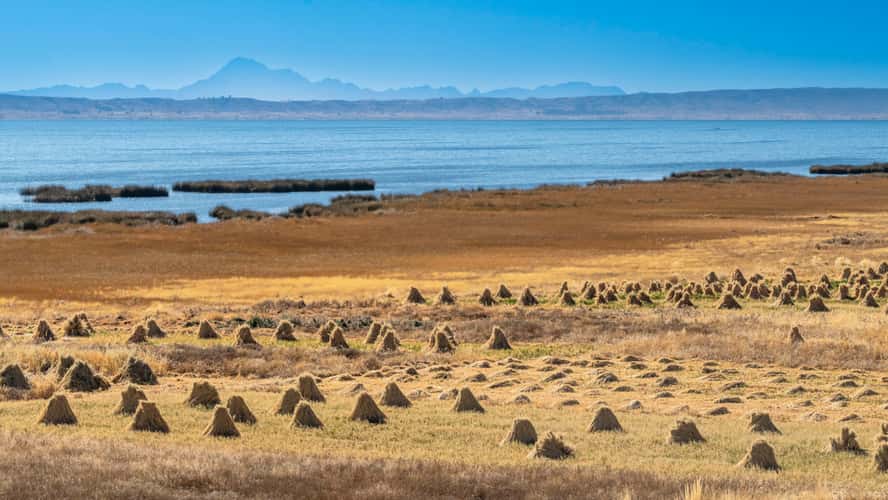 Titicaca lake