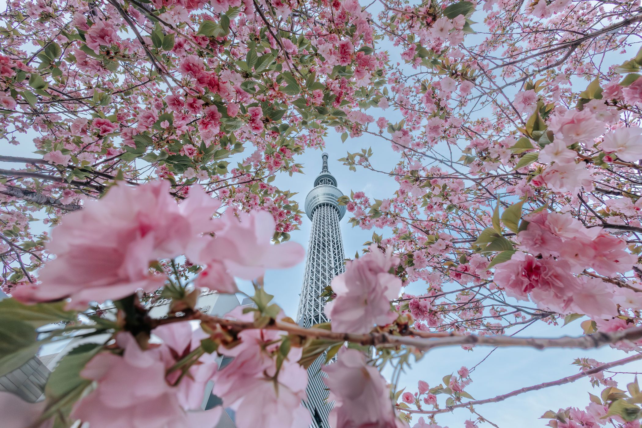 Tokyo Skytree, Japan