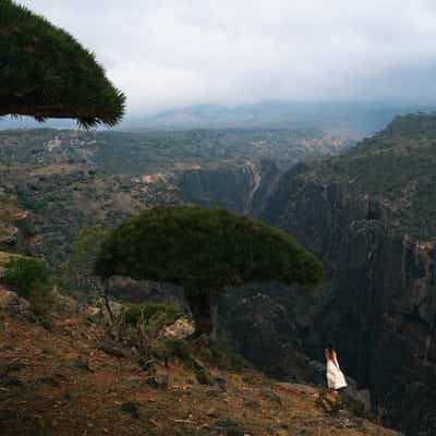 Valley views on the road to Firmihin Forest, Yemen