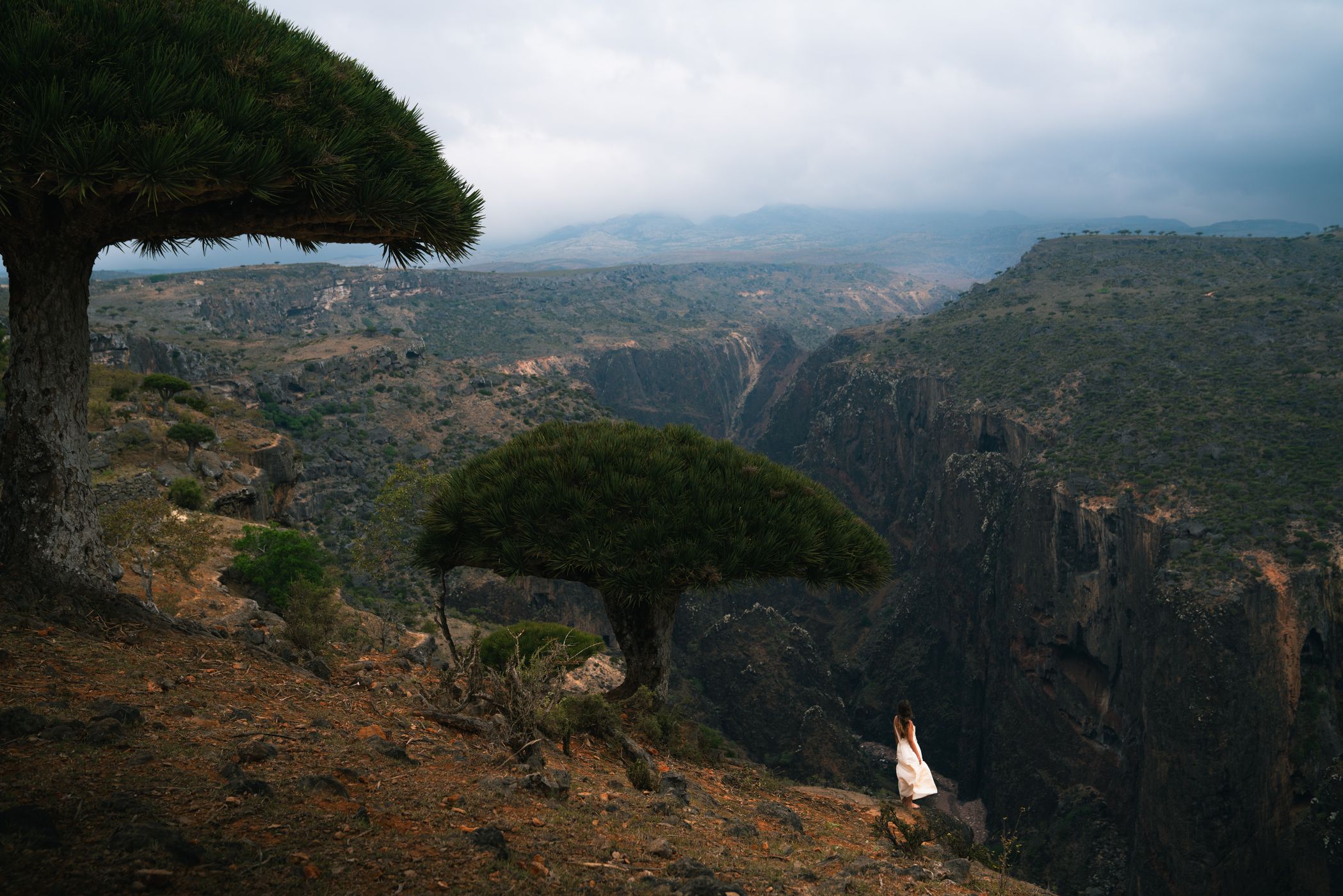 Valley views on the road to Firmihin Forest, Yemen