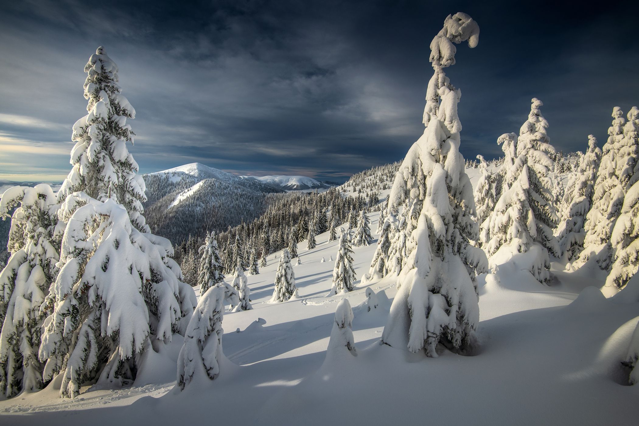 Veľká Fatra NP, Slovakia (Slovak Republic)