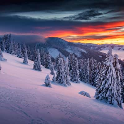 Veľká Fatra NP, Slovakia (Slovak Republic)