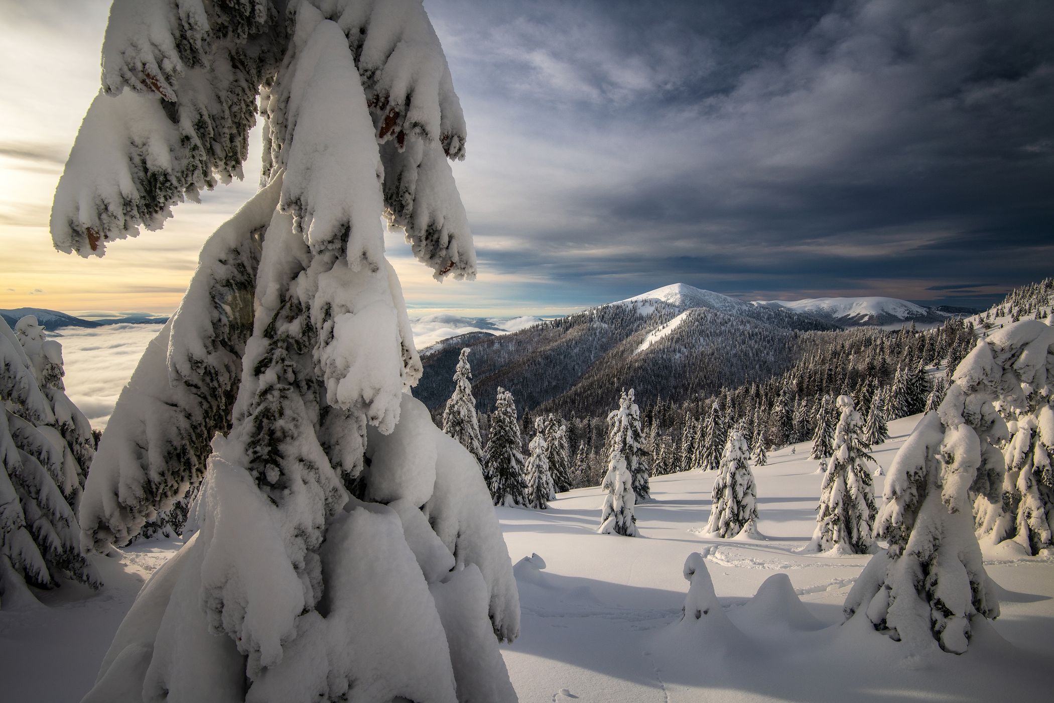 Veľká Fatra NP, Slovakia (Slovak Republic)