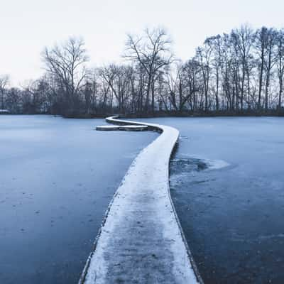 Vestec Pond, Czech Republic