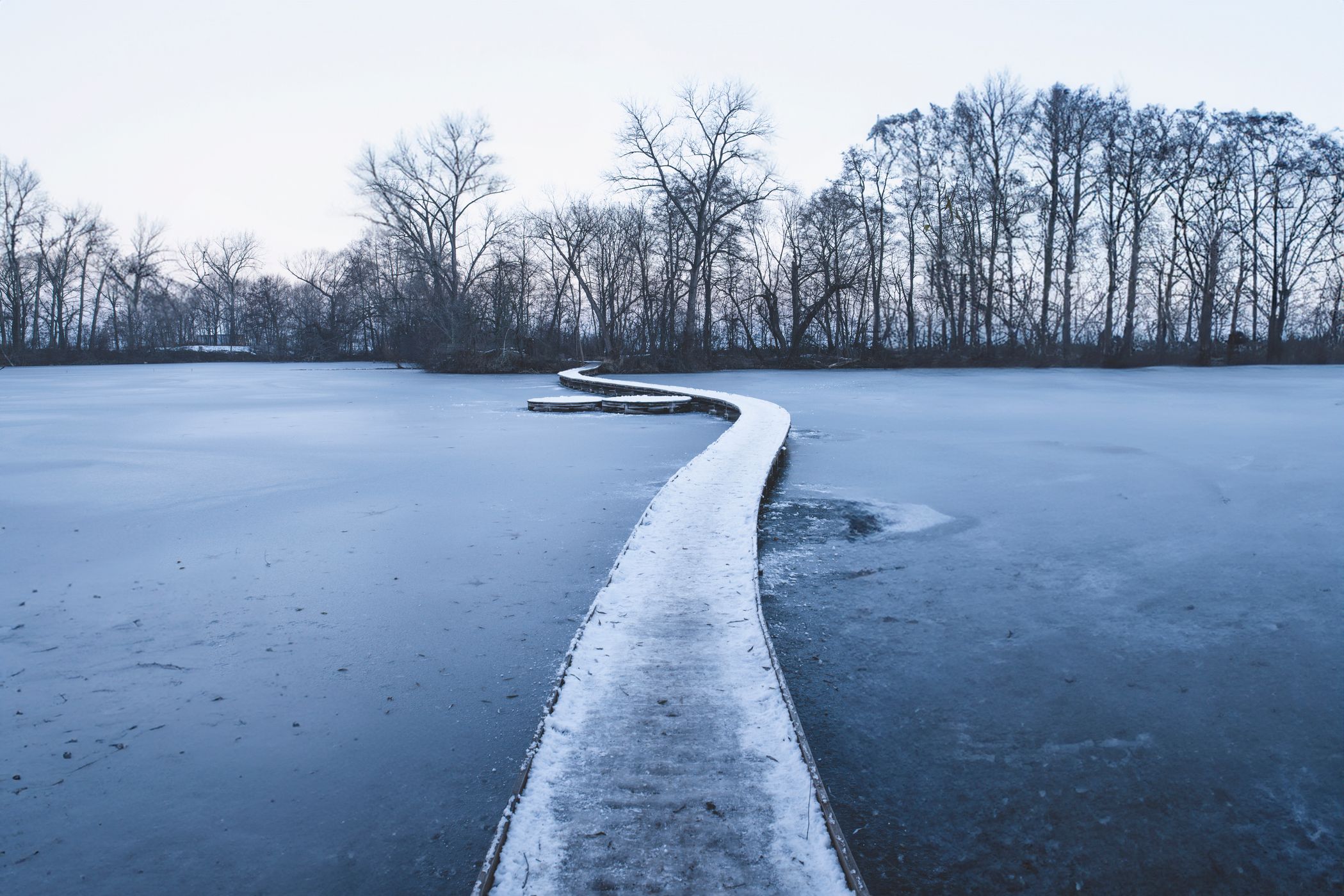 Vestec Pond, Czech Republic