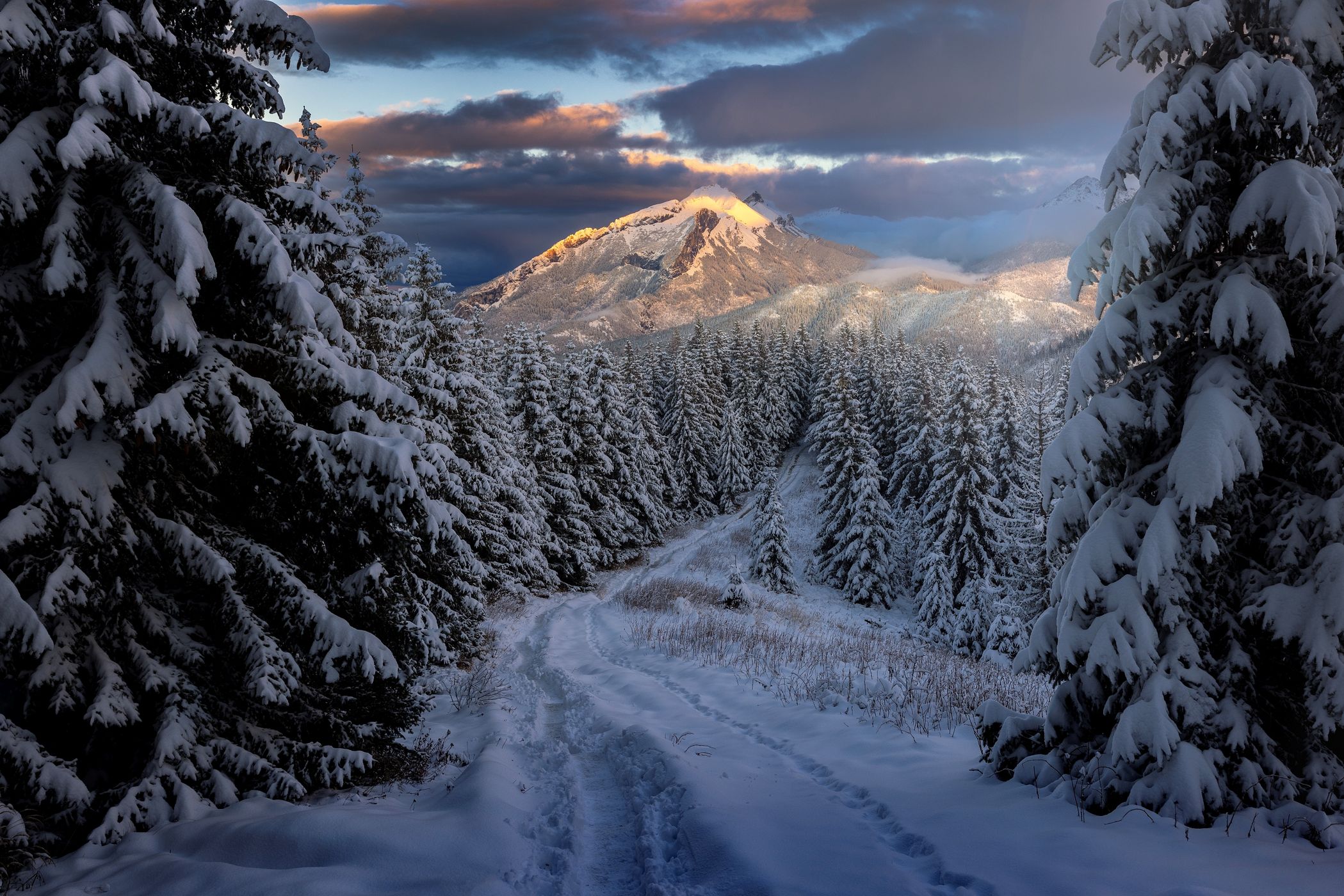 View from Gęsia Szyja in High Tatras, Poland