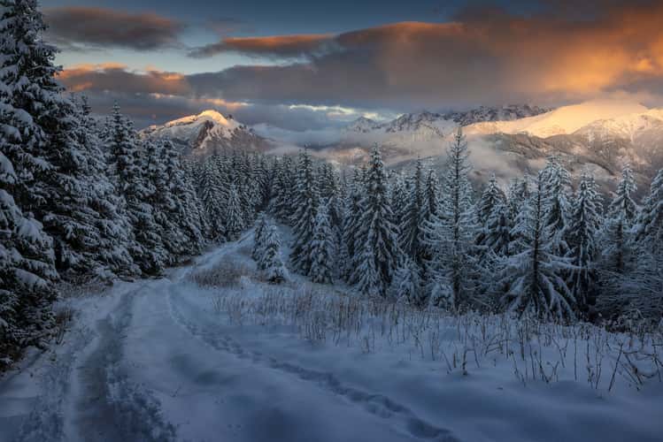 View from Gęsia Szyja in High Tatras