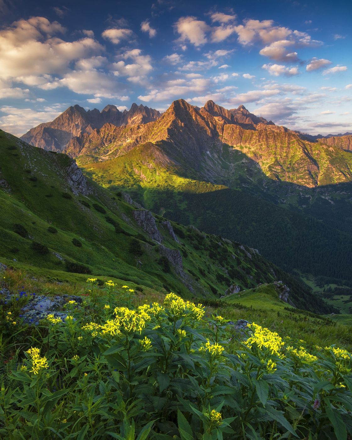 View from Široké sedlo in Tatras mountains, Slovakia (Slovak Republic)