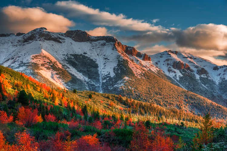 View of Belianske Tatras