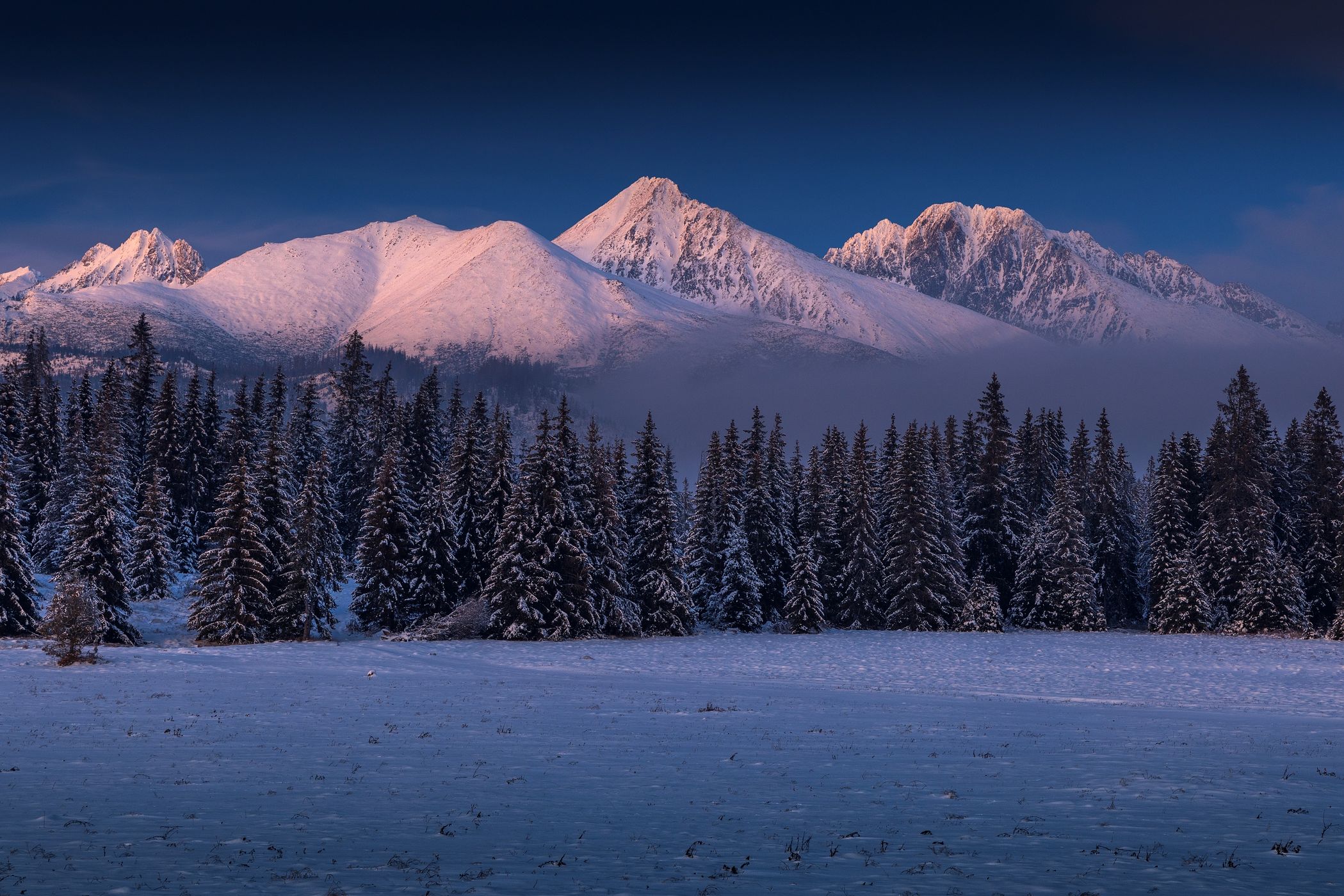 View of High tatras from Tatranská Štrba, Slovakia (Slovak Republic)