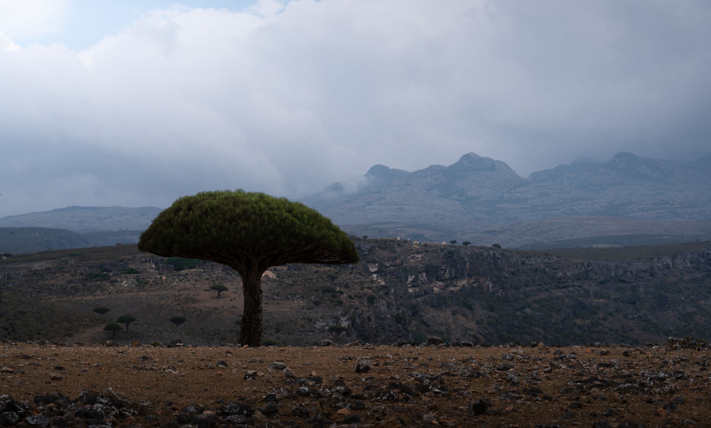 Views of Hajhir Mountains, Yemen