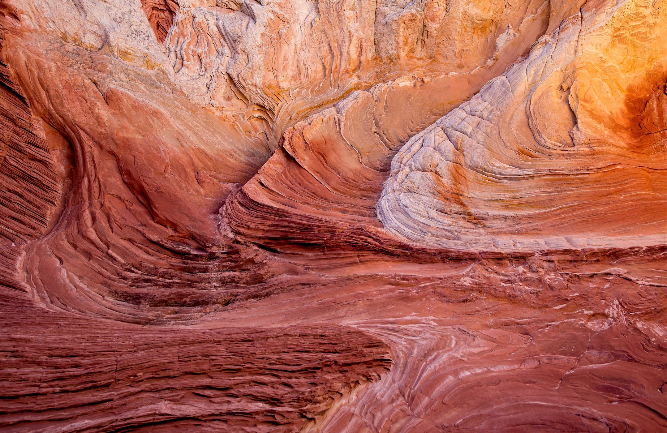 White Pocket, USA