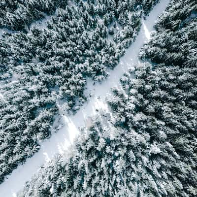 Krkonoše Mountains, Czech Republic