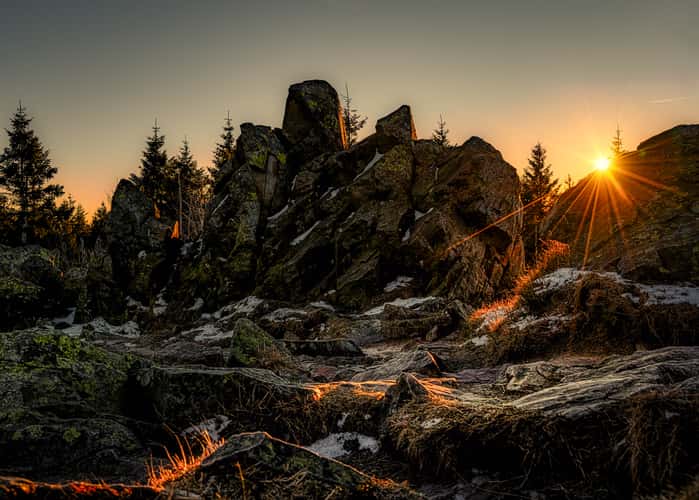 Wolfswarte Harz