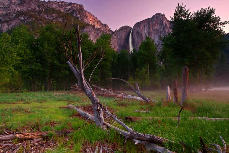 Yosemite Fall, Dawn