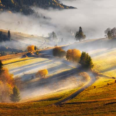 High Tatras