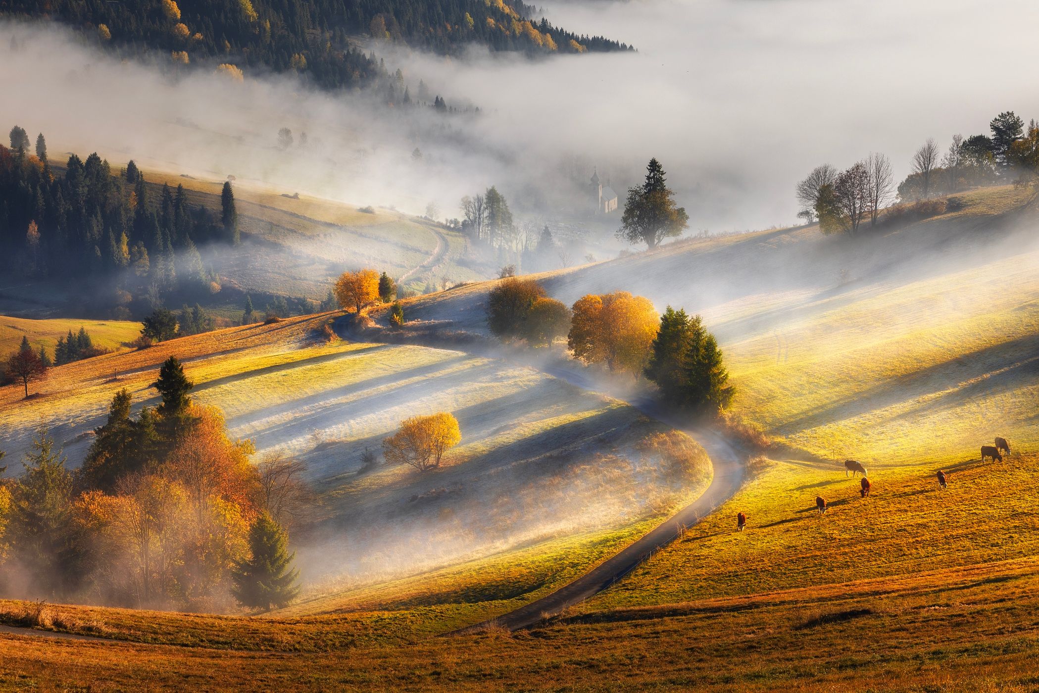 Zamagurie region, Slovakia (Slovak Republic)