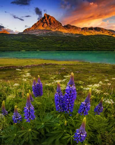 Zeinissee in Austrian Alps