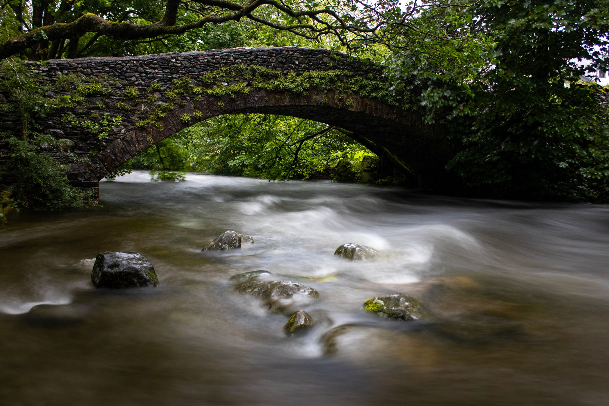 A hidden bridge, United Kingdom