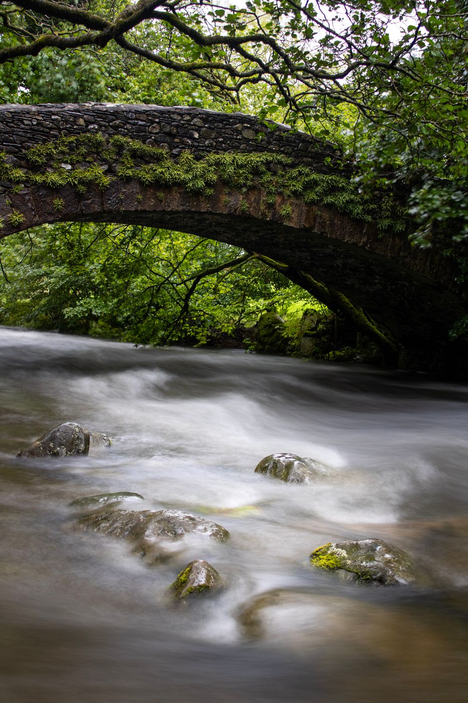 A hidden bridge, United Kingdom