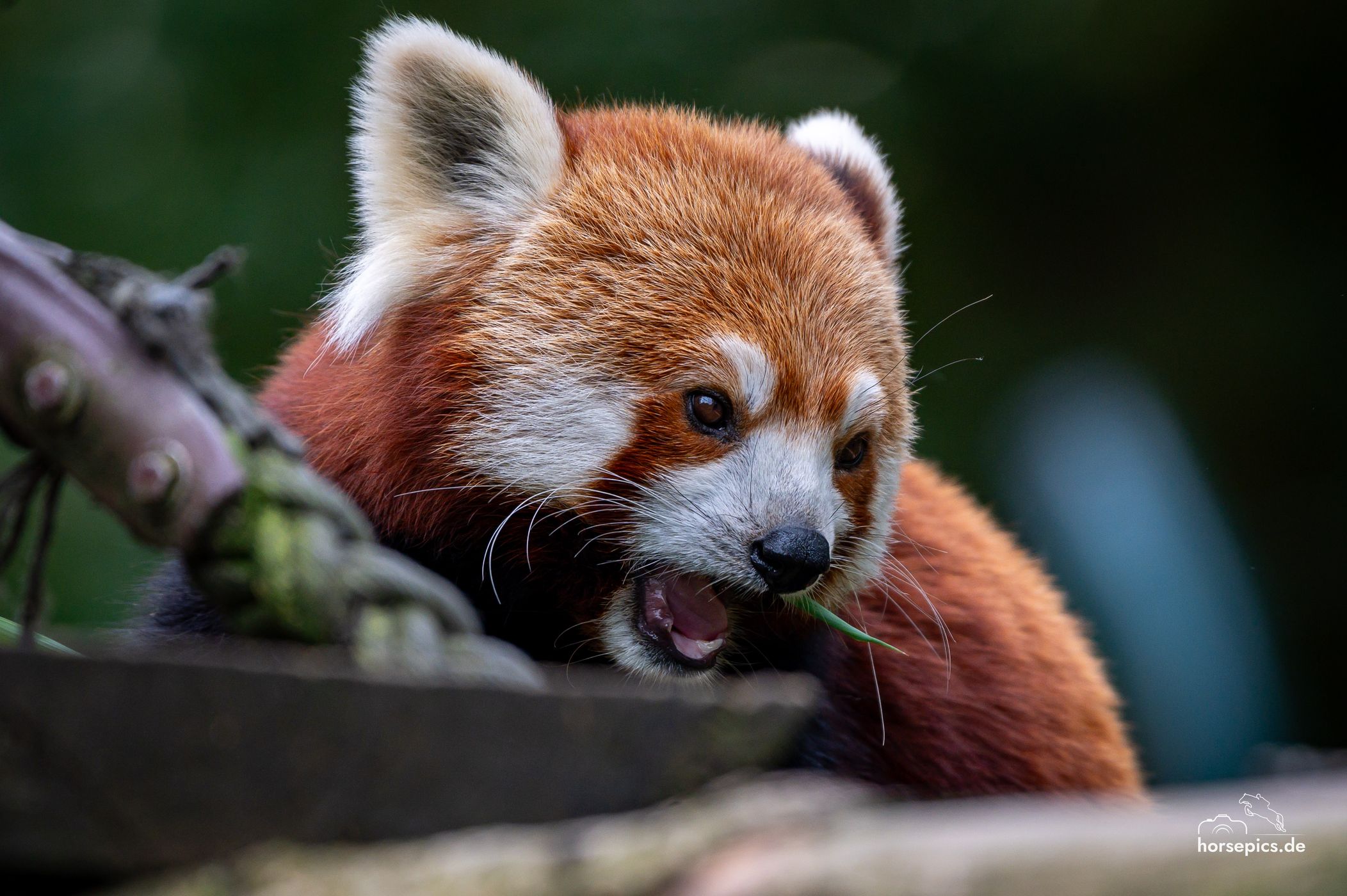 Allwetterzoo Münster, Germany