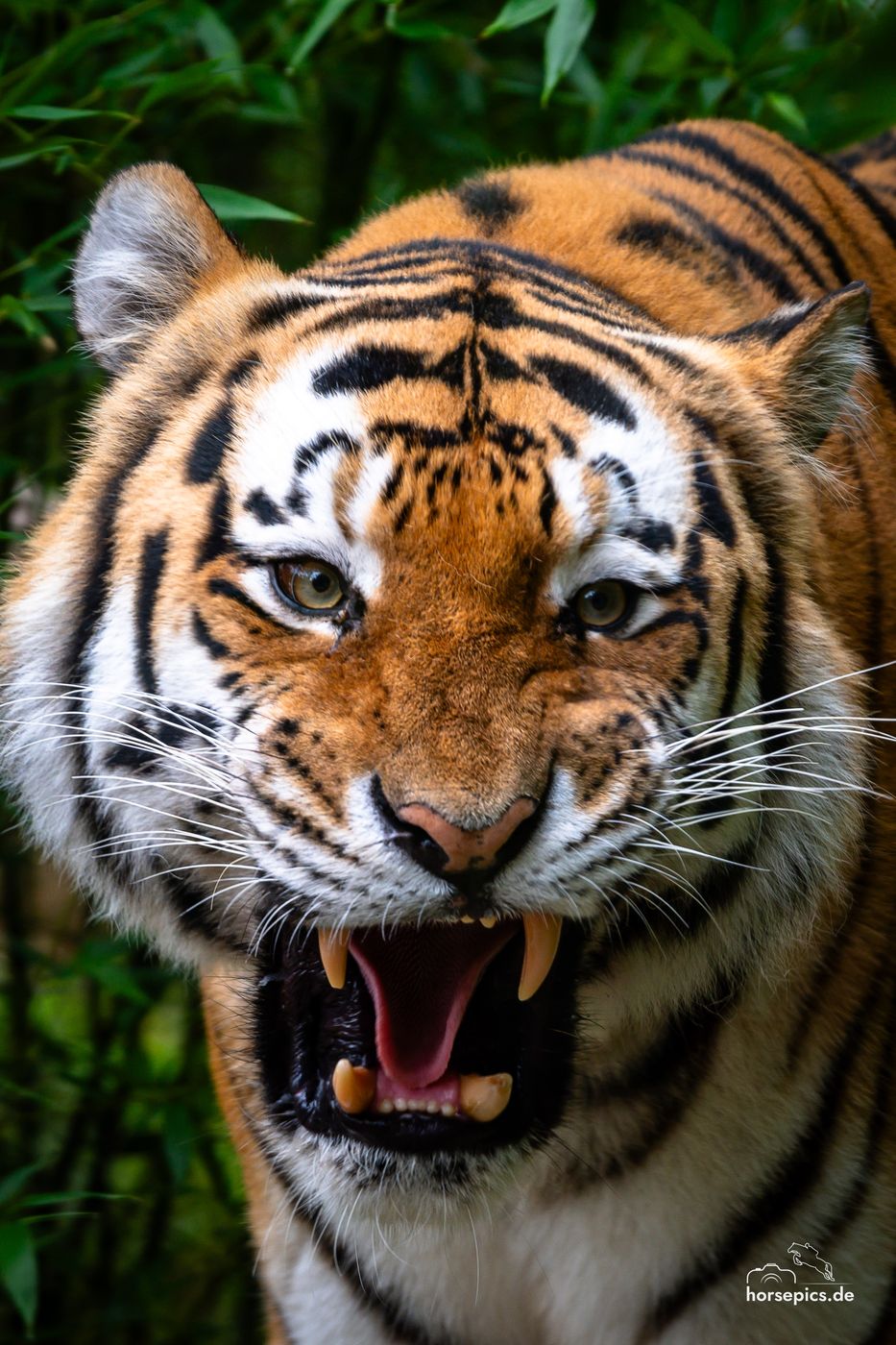 Allwetterzoo Münster, Germany