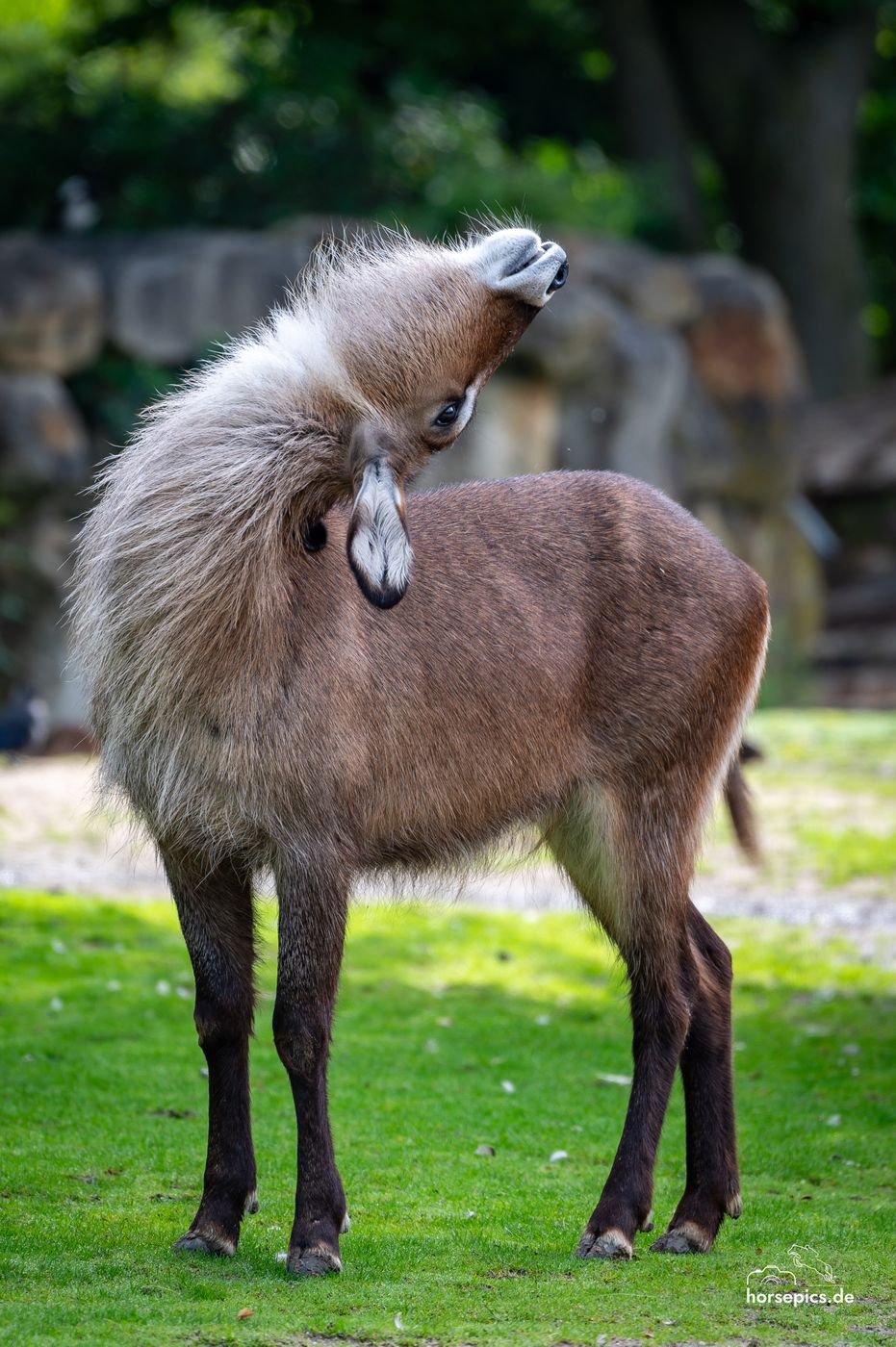 Allwetterzoo Münster, Germany