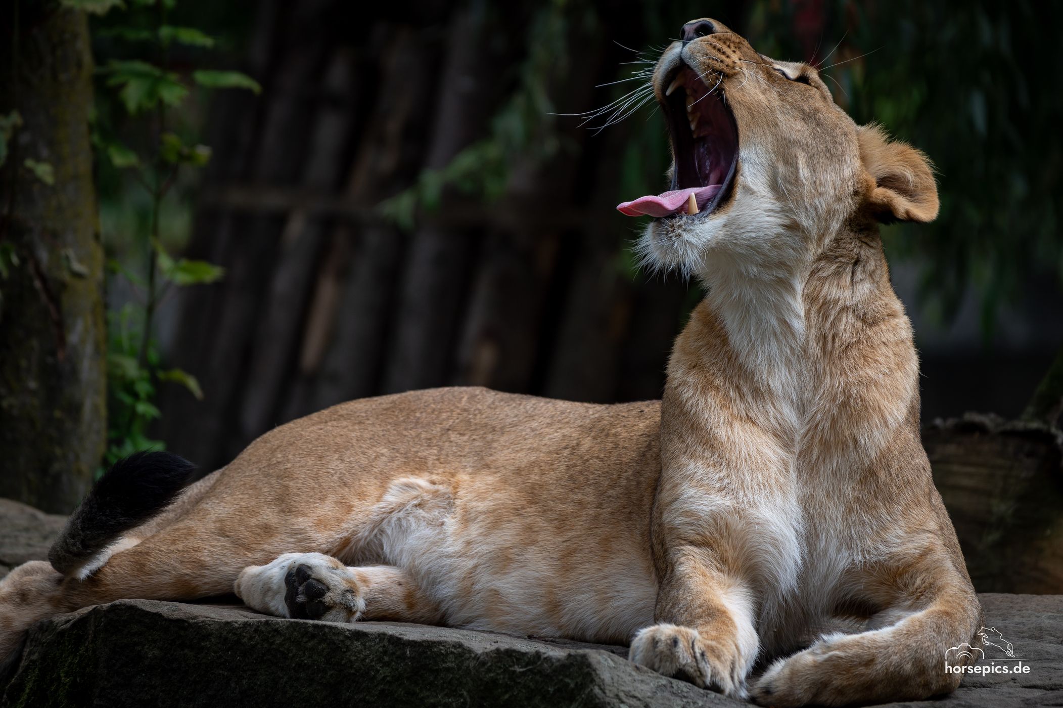 Allwetterzoo Münster, Germany