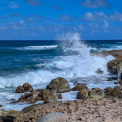 Aruba Shore in the Sasariwichi Dunes, Aruba