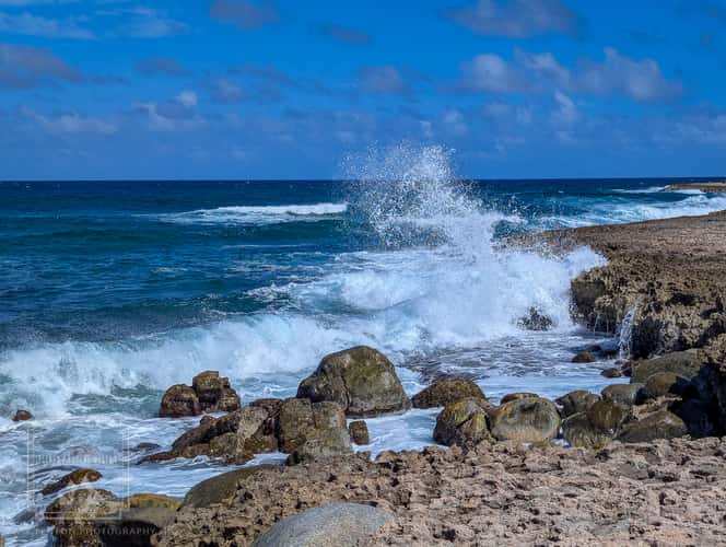 Aruba Shore in the Sasariwichi Dunes