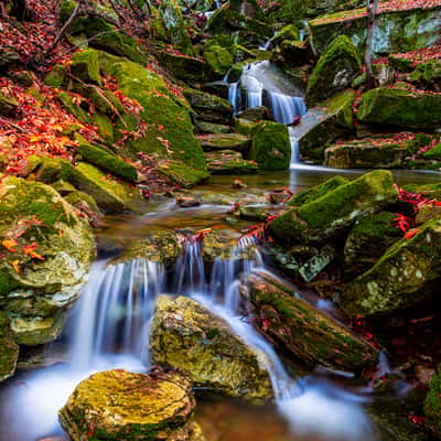 Autumn Falls, USA