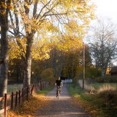 Autumn Road Utö, Sweden