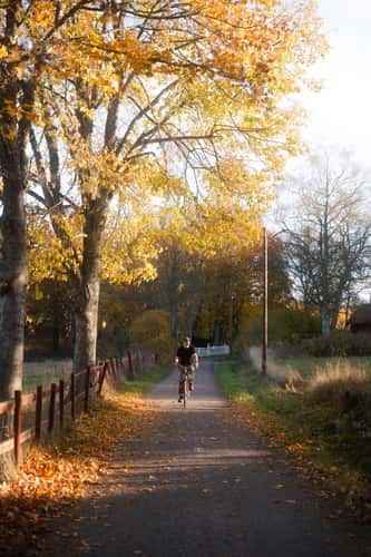 Autumn Road Utö