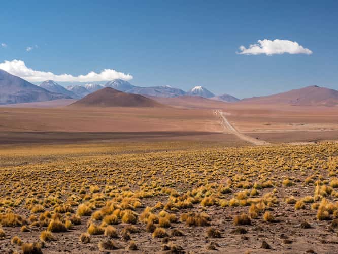 B-245 near El Tatio