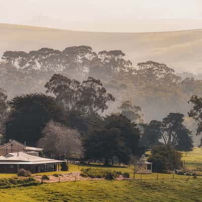 Bartons forest, Australia