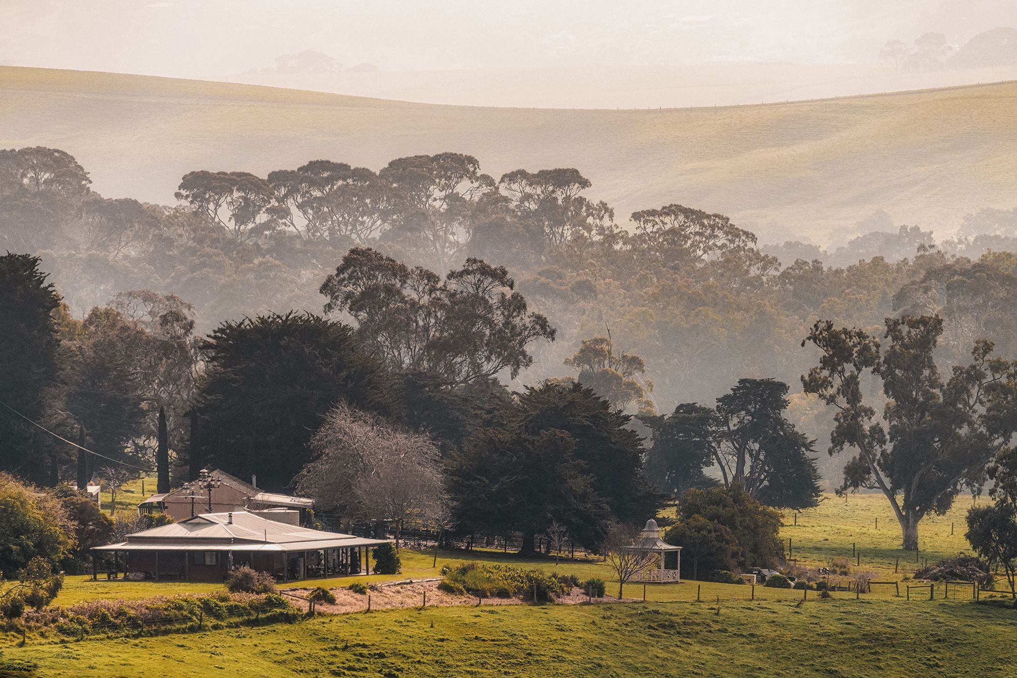 Bartons forest, Australia