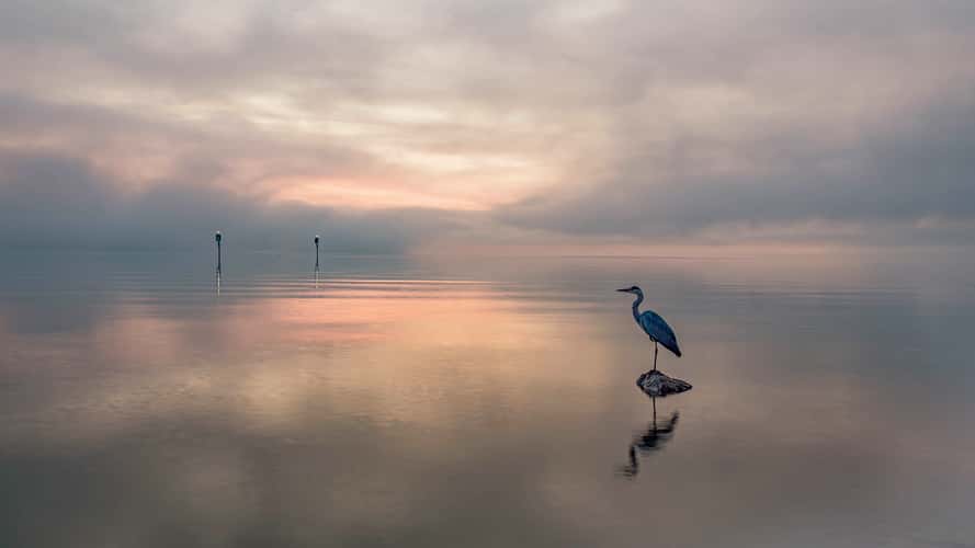Bodensee