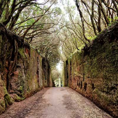 Old road to the summit of El Inglés, Spain