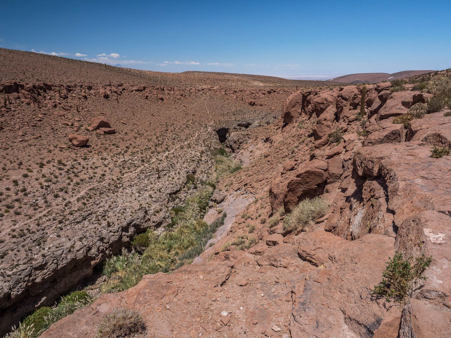 Cañón De Los Cactus, Chile