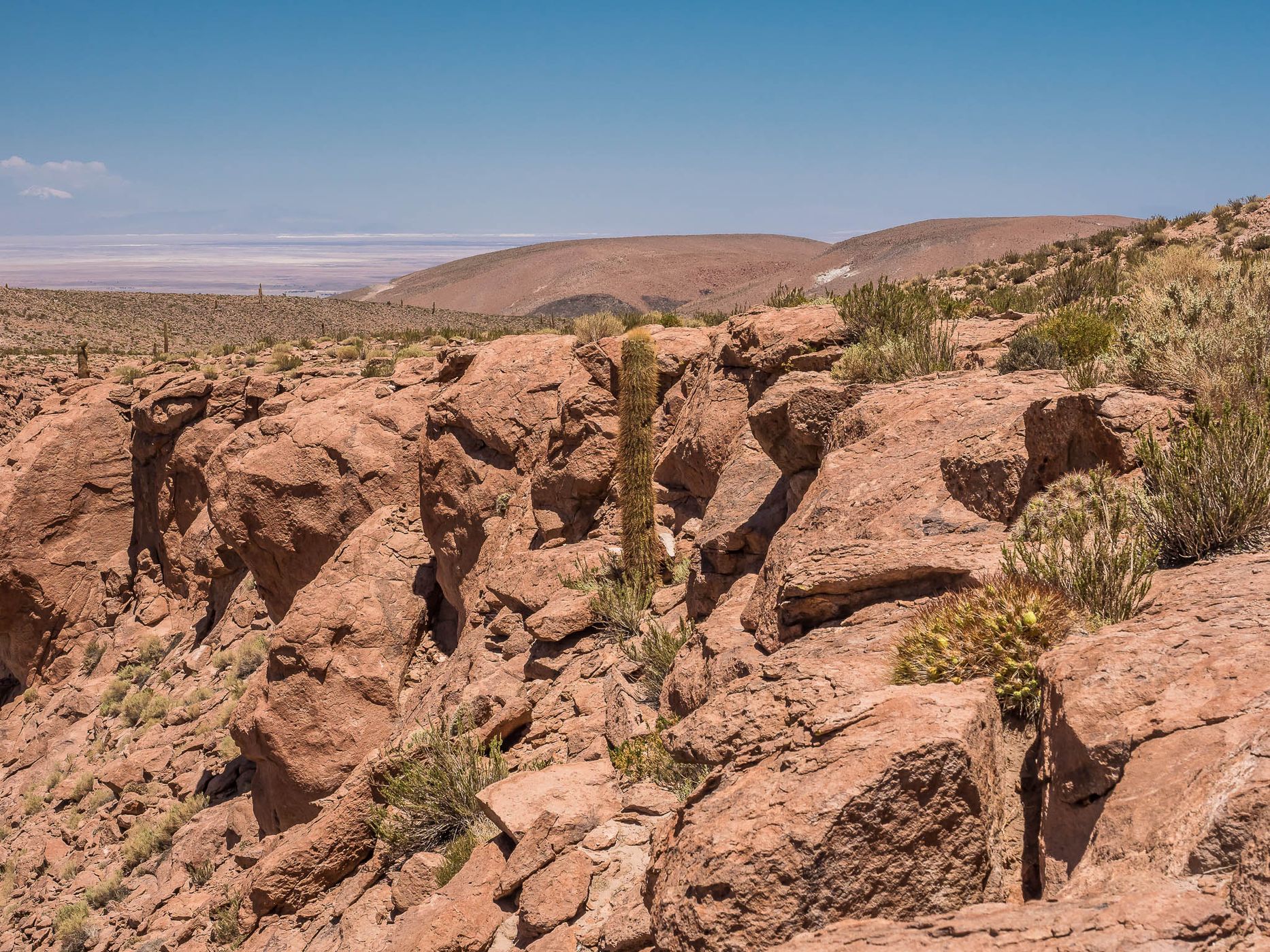 Cañón De Los Cactus, Chile