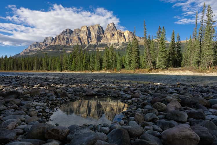 Castle Mtn Junction