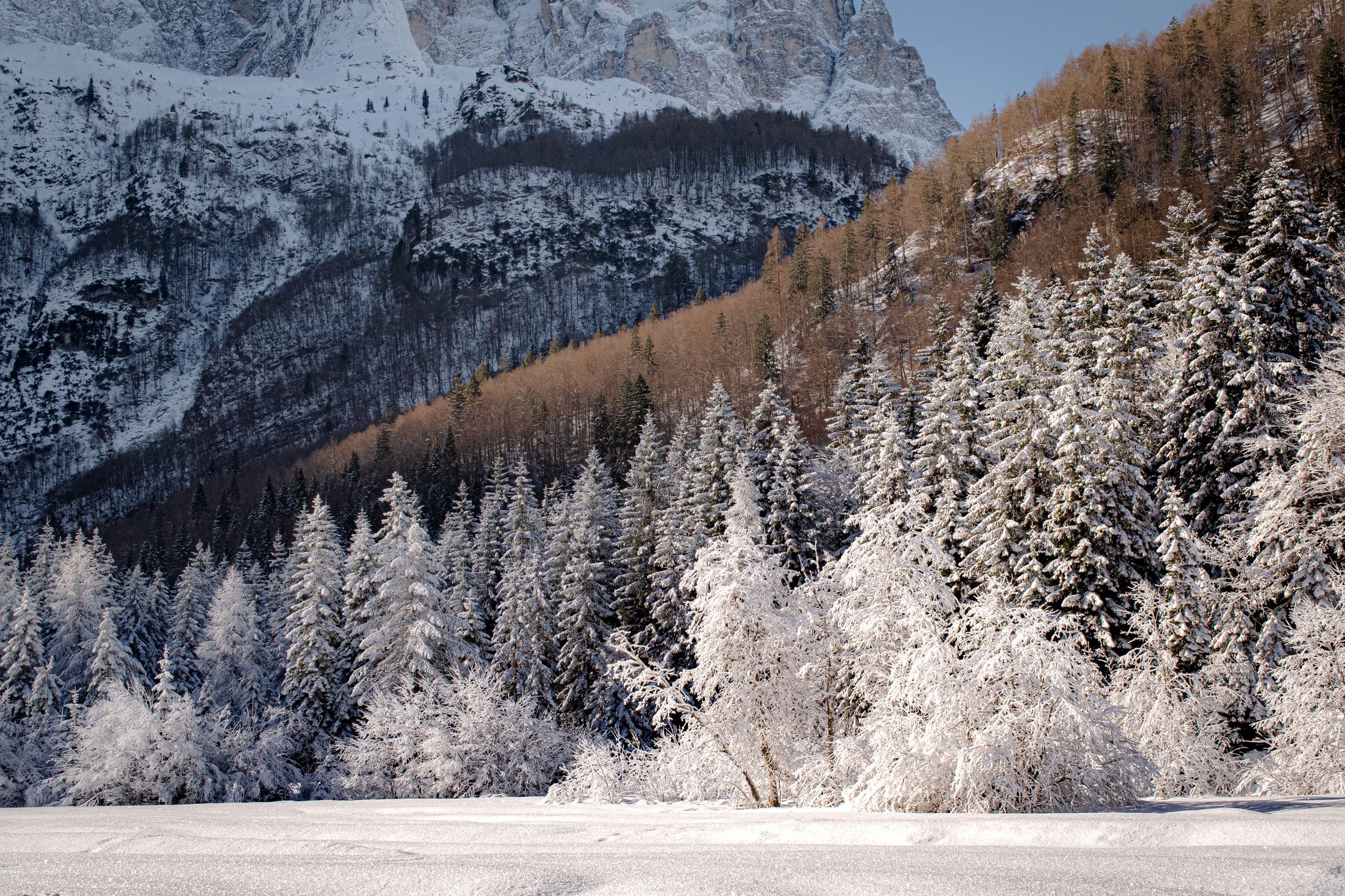 Chilling morning in Val Saisera, Italy