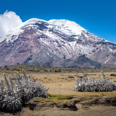 Chimborazo, Ecuador