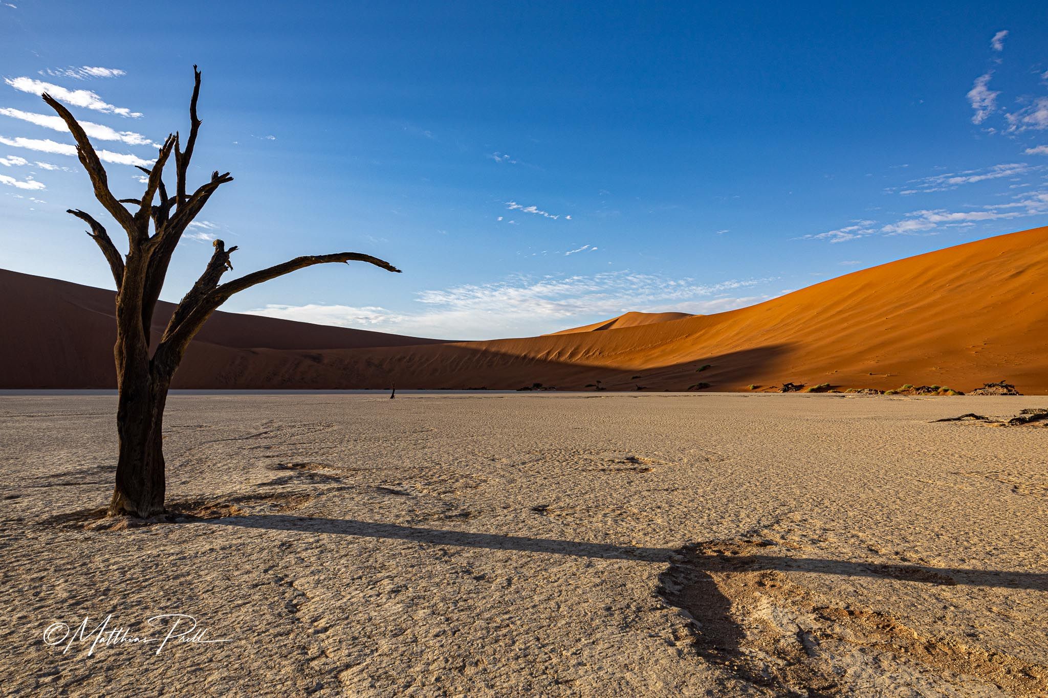 Deadvlei, Namibia