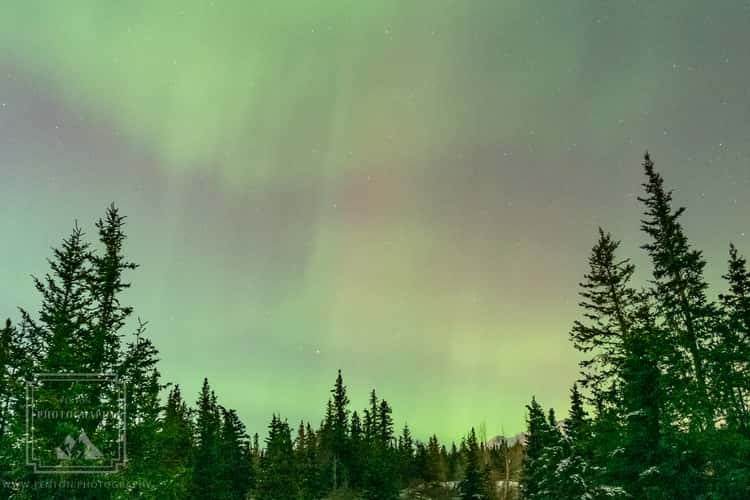 Deck Aurora