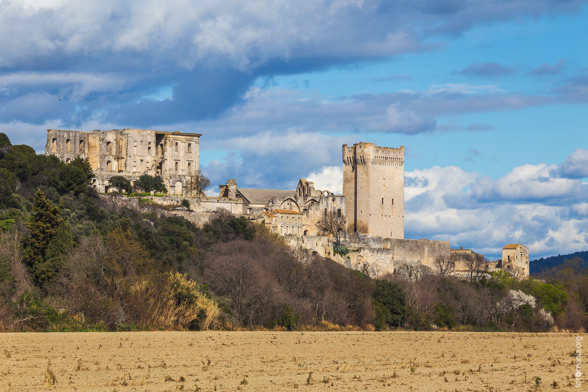 Distant view to the Montmajour Abbey ruins, France
