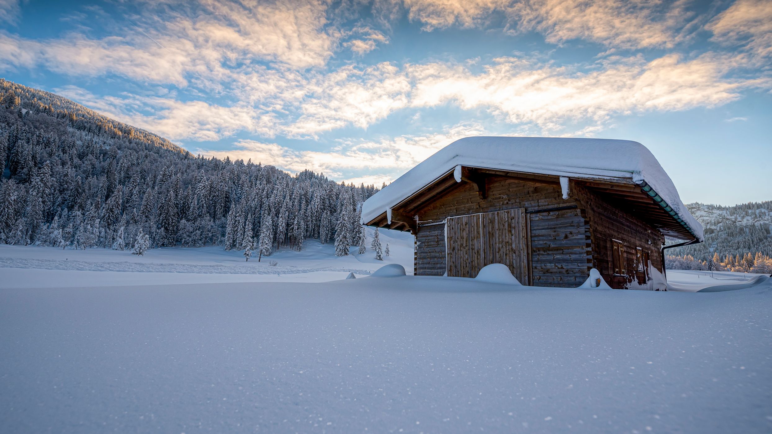 Lonely hut near Balderschwang, Germany