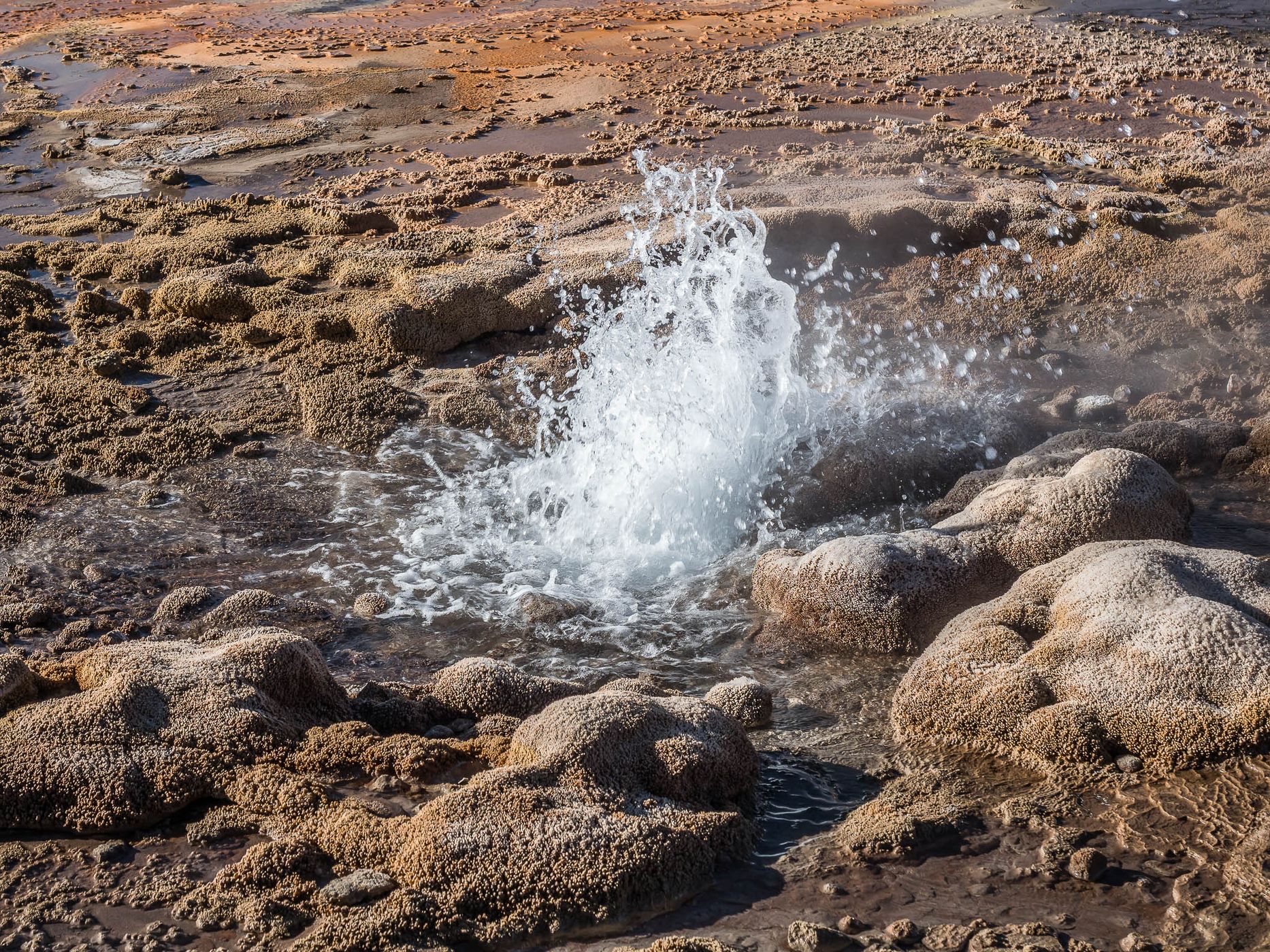 Geysers de el Tatio, Chile