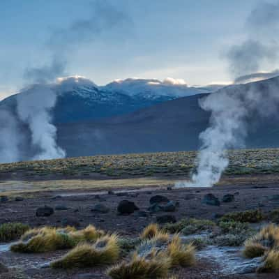 geysers del Tatio, Chile